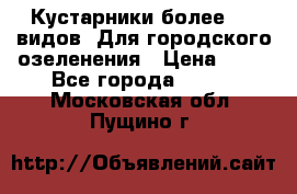 Кустарники более 100 видов. Для городского озеленения › Цена ­ 70 - Все города  »    . Московская обл.,Пущино г.